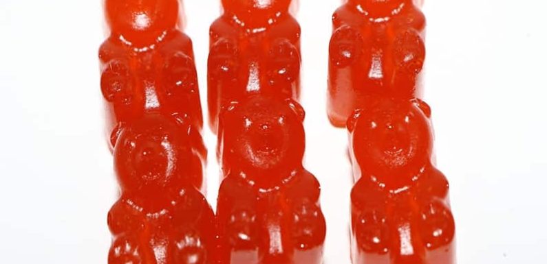 Go vegan: Have vegan CBD gummies!