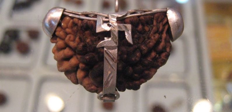 4 Ways To Find Out The Purity Of Ek Mukhi Rudraksh