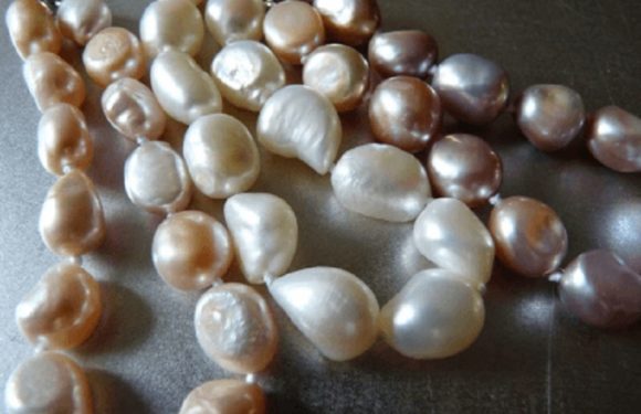 What’s the Difference between Freshwater and Saltwater Pearls?