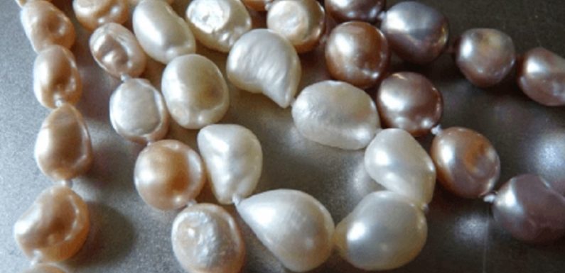 What’s the Difference between Freshwater and Saltwater Pearls?