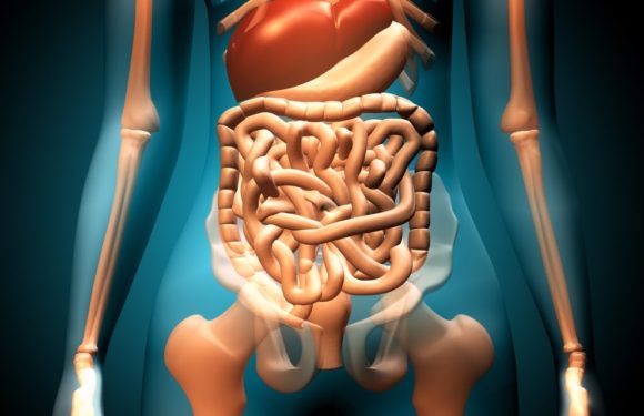 What is a gastrointestinal disorder?