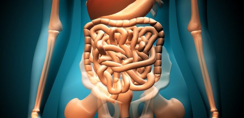 What is a gastrointestinal disorder?