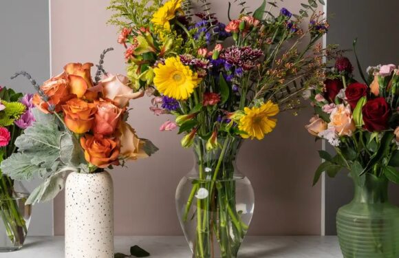 5 Things You Should Know Before Ordering Flowers Online
