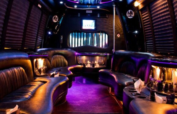 Using Your Party Bus Rental for a Birthday Party to the Fullest
