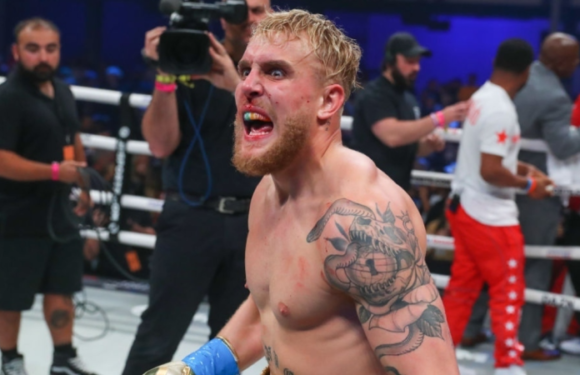 Jake Paul With Finest Boxing Records