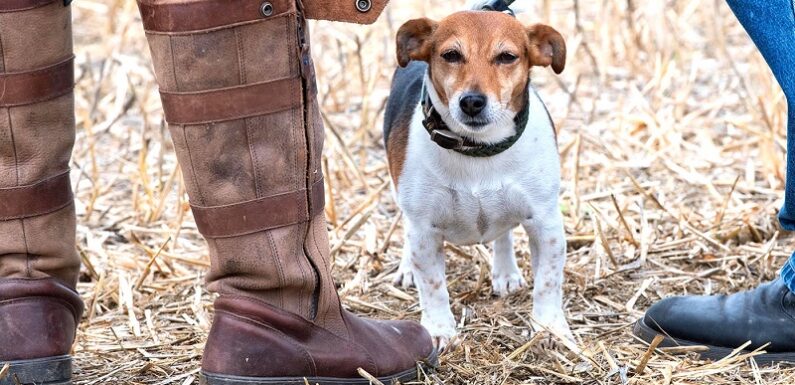 How to Choose the Best Women’s Country Boot