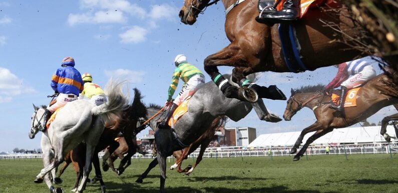 Exploring International Horse Race Betting Markets