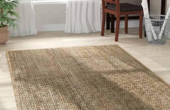 Are Sisal Carpets the Eco-Friendly Elegance Your Space Deserves?