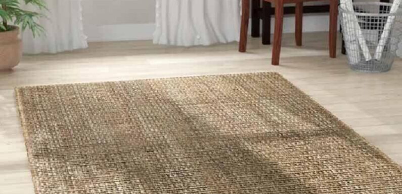 Are Sisal Carpets the Eco-Friendly Elegance Your Space Deserves?