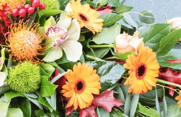 5 Tips Before You Buy Flowers Online