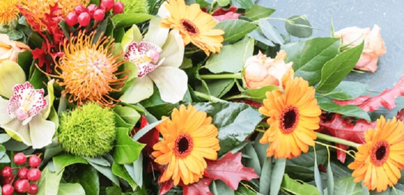 5 Tips Before You Buy Flowers Online