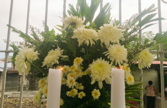 The Gentle Comfort of Flowers: Why They Matter at Funerals