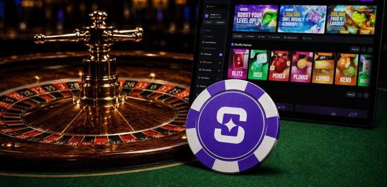How do crypto casino systems support multi-asset wallet activity?
